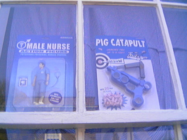 Male Nurse and Pig Capapult Toys